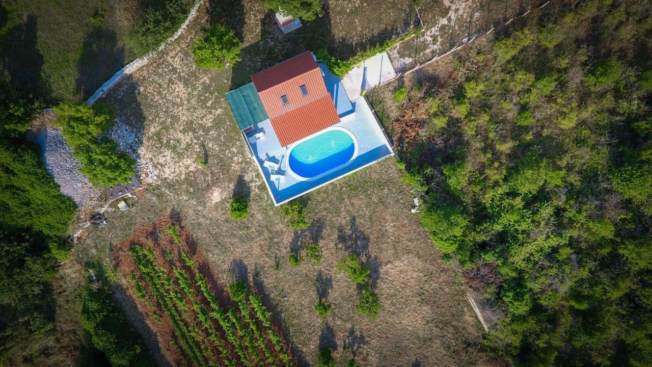 Villa Baras Garden - House With Pool Mirca  Bagian luar foto